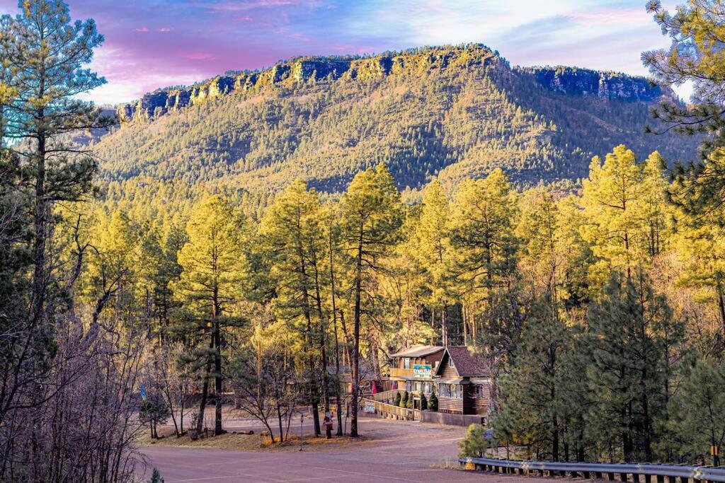 Forest Cabin 6 Enchanted Forest Payson Exteriér fotografie